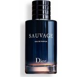 Dior Sauvage Erkek Edp 100 ml Şık Parfüm Özellikleriyle