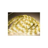 Dış Mekan Silikonlu Günışığı Şerit Led Ct-4488