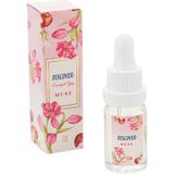 Discover Muse Aromatik Esansiyel Uçucu Yağ