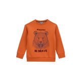 Discovery Expedition Baskılı Erkek Çocuk Kiremit Sweatshırt D5WB-SWT3041