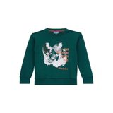 Discovery Expedition Baskılı Erkek Çocuk Koyu Yeşil Sweatshirt, 5-6 Yaş, 5003271500, Koyu Yeşil, erkek-çocuk