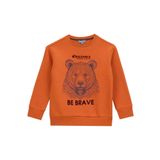 Discovery Expedition Baskılı Erkek Çocuk Sweatshirt, 9-10 Yaş, 5003271449, Kiremit, erkek-çocuk