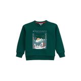 Discovery Expedition Baskılı Erkek Çocuk Sweatshırt D5Wb-Swt3044, Koyu Yeşil, 13-14 Yaş