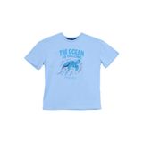 Discovery Expedition Baskılı Erkek Çocuk T-Shirt D6Sb-Tst3075, 5-6 Yaş, 5-6 Yaş, 5003326927, Mavi, Erkek Çocuk