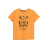 Discovery Expedition Baskılı Erkek Çocuk T-Shirt D6Sb-Tst3077, 5-6 Yaş, 5-6 Yaş, 5003326941, Turuncu, Erkek Çocuk