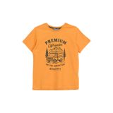 Discovery Expedition Baskılı Turuncu Erkek Çocuk T-Shirt D6SB-TST3077