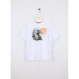 Discovery Expedition Beyaz Erkek Çocuk Baskılı T-Shirt D6Sb-Tst3010, 5-6 Yaş, 5003326931, Kırık Beyaz, Erkek Çocuk