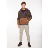 Discovery Expedition D3WM-SWT24 Kahve Kapüşonlu Blok Erkek Sweatshirt