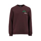 Discovery Expedition D4WM-SWT3276 Kahve Bisiklet Relaxed Nakışlı Erkek Sweatshirt