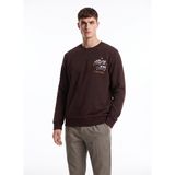 Discovery Expedition D5WM-SWT3876 Kahverengi Erkek Kapüşon Relaxed Baskılı Sweatshirt