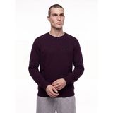 Discovery Expedition D5WM-SWT3940 Bordo Erkek Sweatshirt