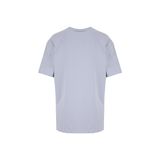 Discovery Expedition D6SM-TST3788 Gri Bisiklet Relaxed Baskılı Erkek T-Shirt