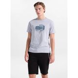 Discovery Expedition D6SM-TST3798 Gri Bisiklet Relaxed Baskılı Erkek T-Shirt - 2XL