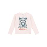Discovery Expedition Düz Erkek Çocuk T-Shirt, 11-12 Yaş, 5003271465, Krem, Erkek Çocuk