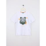 Discovery Expedition Erkek Çocuk Baskılı T-Shirt, 5-6 Yaş, 5003326903, Beyaz, Erkek Çocuk