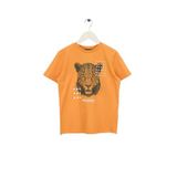 Discovery Expedition Erkek Çocuk Baskılı T-Shirt D6Sb-Tst3006, 13-14 Yaş, 13-14 Yaş, 5003326902, Turuncu, Erkek Çocuklar