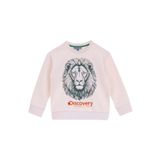 DISCOVERY Expedition Erkek Çocuk Sweatshirt, Aslan Baskılı, 7-8 Yaş, 7-8 Yıl, D5WB-SWT3042, Krem, erkek-çocuk