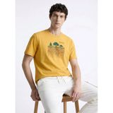 Discovery Expedition Hardal Erkek T-Shirt D6SU-TST3102 - M