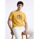 Discovery Expedition Hardal Erkek T-Shirt D6SU-TST3102