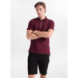 Discovery Expedition Polo Yaka T-Shirt, L, 5003329661, Bordo, Erkek