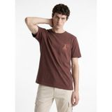 Discovery Expedition T-Shirt, M, 5003363528, Kahve, Erkek