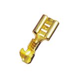Dişi Fiş Standart Tırnaksız 6.3 Mm