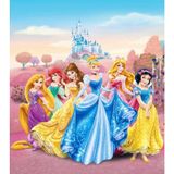 Disney Princess Yenilebilir Kağıda Resimli Pasta ve Dekor Baskısı