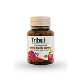 DİSTİLEX Tribulex 750 Mg 60 Kapsül - Tribulus Terrestris Ekstresi (Kadınlar ve Sporcu Bireyler İçin)