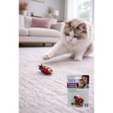 div Pilli Uğur Böceği Şeklinde Hareket Eden Kedi Oyuncağı