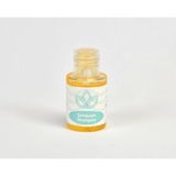 Diva Şampuan 30 ml Koli İçi 500 Adet