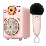 Divoom Fairy-OK taşınabilir karaoke mikrofonu, yetişkinler/çocuklar için, Bluetooth hoparlör, elde tutulan KTV mikrofonlu, ev partisi karaoke cihazı, iOS/Android için dinamik mikrofonlar