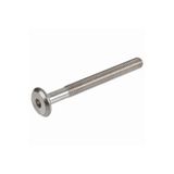 DİZAYNAKS Alyan Başlı Silindir Vida M6*80 Mm
