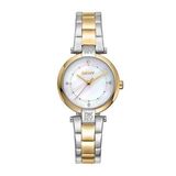 DKNY DK1L043M0075 Kadın Kol Saati