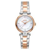 DKNY DK1L043M0095 Kadın Kol Saati
