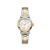 Dkny Dk1l090m0085 Rengi Metalik Gri Çelik Kadın Kol Saati - Altın