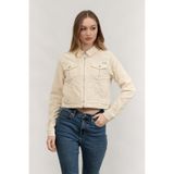 Dkny Mont Çok Renkli, S, DJ4J6064, Çok Renkli, Kadın