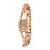 DKNY NY8595 Bayan Kol Saati