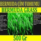 Dlf Bermuda Çimi (Ayrı Otu)Tohumu 500 gr