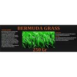DLF Bermuda Çimi (ayrık Otu)tohumu 250 Gr 5ba71dd74408414c9e1f4ec94bdd6694