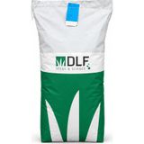 Dlf Esquire Lolium Perenne Çim Tohumu 25 Kg