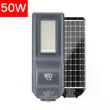 Dls 50W Profesyonel Solar Sokak Armatürü Tüm Gece Aydınlatma Güneş Enerjili Slr-102-50-01