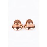 DMT COPPER HOME BAKIR TUZLUK-BAHARATLIK TAKIMI BAKIR RENK (2 ADET) 40 Gr