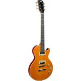 Dmx Guitars DALP100 A Slash Afd Les Paul Elektro Gitar + Taşıma Çantası