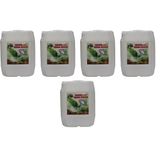 Dmy Organik Sıvı Yarasa Gübresi, 20 Litre, 5'li Paket