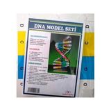 Dna Model Yapım Deney Seti 2 Adet - A5