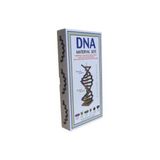 Dna Modeli Yapalım Deney Seti