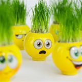 Dnzstore Emoji Kafa Çılgın Çim Adam - Sarı