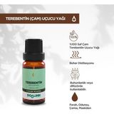 Doalinn Çam Terebentin Uçucu Yağı 10 ml