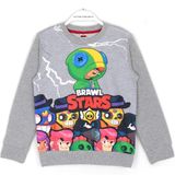 DobaKids 3D Baskılı Erkek Çocuk Leon Baskılı Uzun Kollu Tişört Sweatshirt Gri - Gri - Melanj - 5 - 6 Yaş