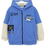 DobaKids Ön ve Arkası Baskılı Cepli Erkek Çocuk Kapüşonlu Hırka Mavi 001-0001994 - 8 Yaş